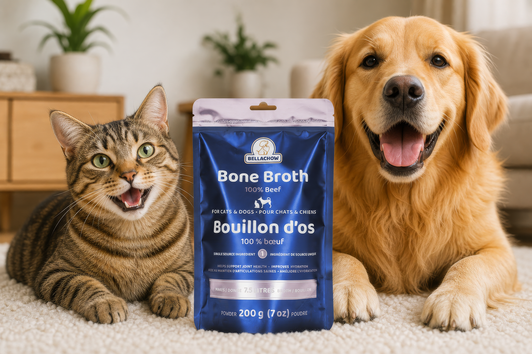 BellaChow Pure Beef Bone Broth Powder for Dogs & Cats