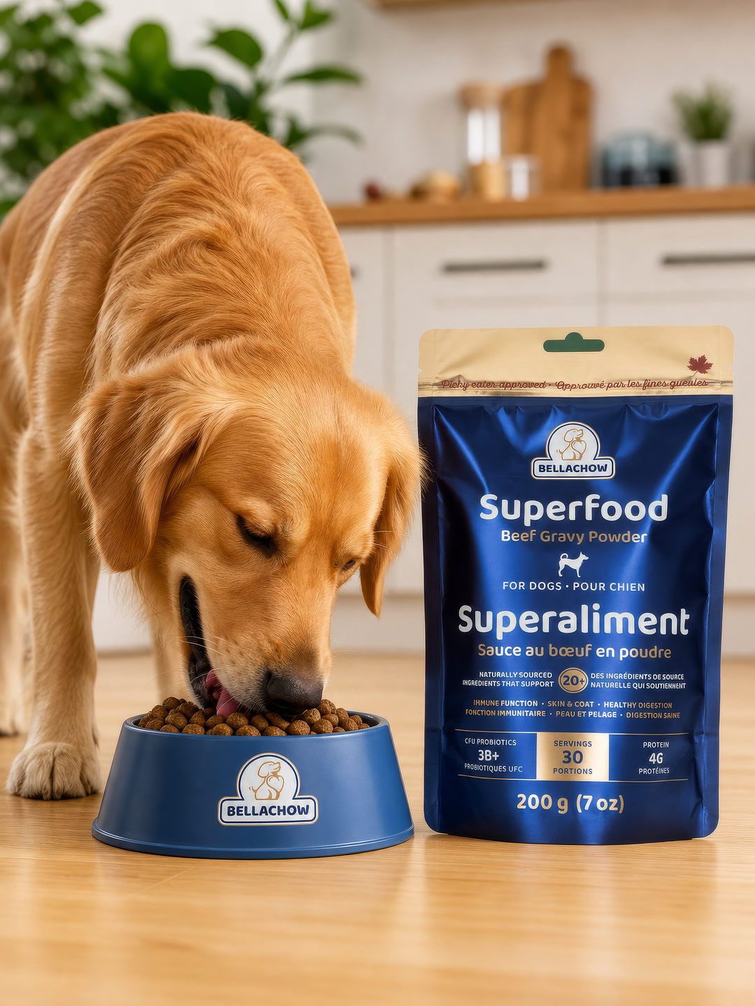 Superfood Gravy For Dogs
